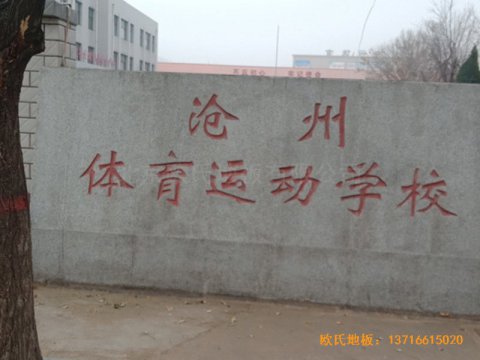 河北滄州體育學?；@球館體育地板施工