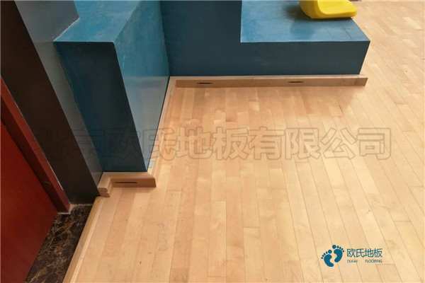 學(xué)?；@球木地板減震技術(shù)1